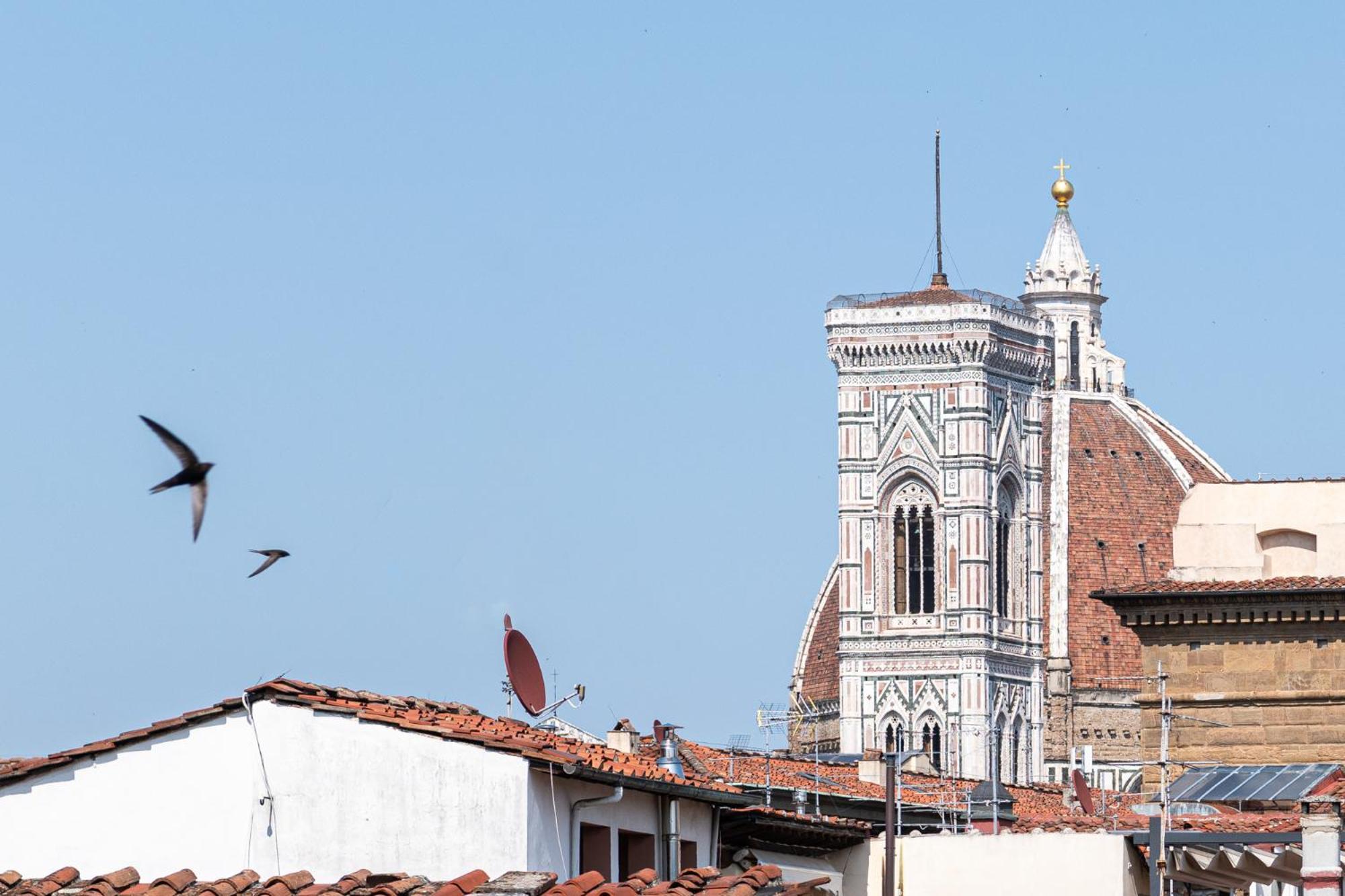 Parione Loft In Town Center Apartment Florence Exterior photo